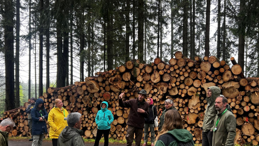 Evropští lesníci a ochránci přírody se přijeli inspirovat do Brd – zajímal je projekt adaptace lesů na změnu klimatu