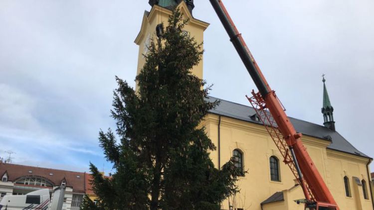 Foto dne: Vánoční stromek už je na náměstí, rozsvítí se za týden