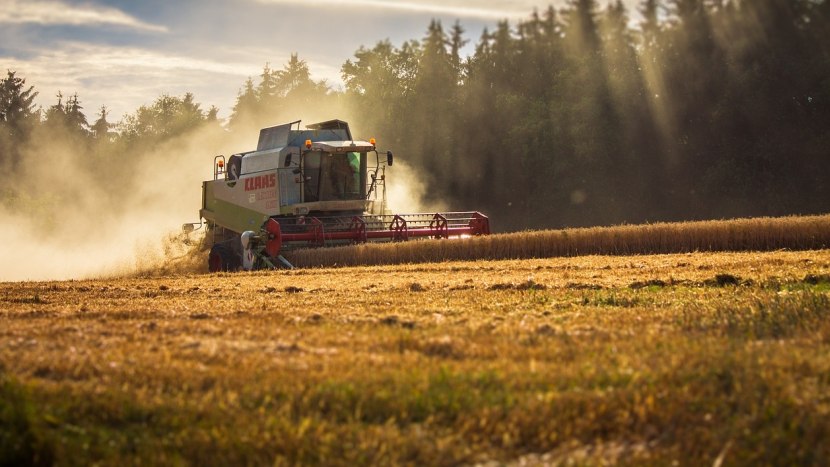 Ve středních Čechách začaly žně, farmáři sklidili 41 pct ploch s ozimým ječmenem