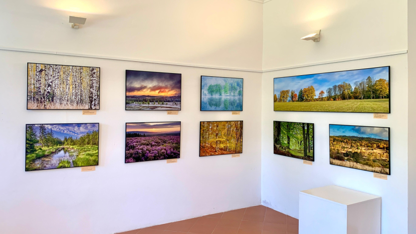 Deset let CHKO Brdy oslavuje putovní fotografická výstava