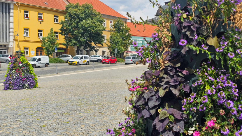 Rozkvetlá Příbram: Květiny a zeleň mění tvář veřejných prostranství