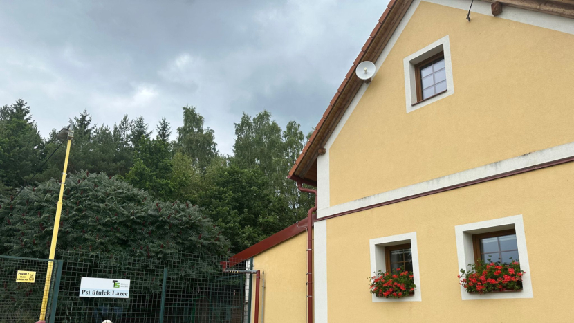 Lusy hledá domov. Věrná fenka z útulku v Lazci čeká na nový začátek