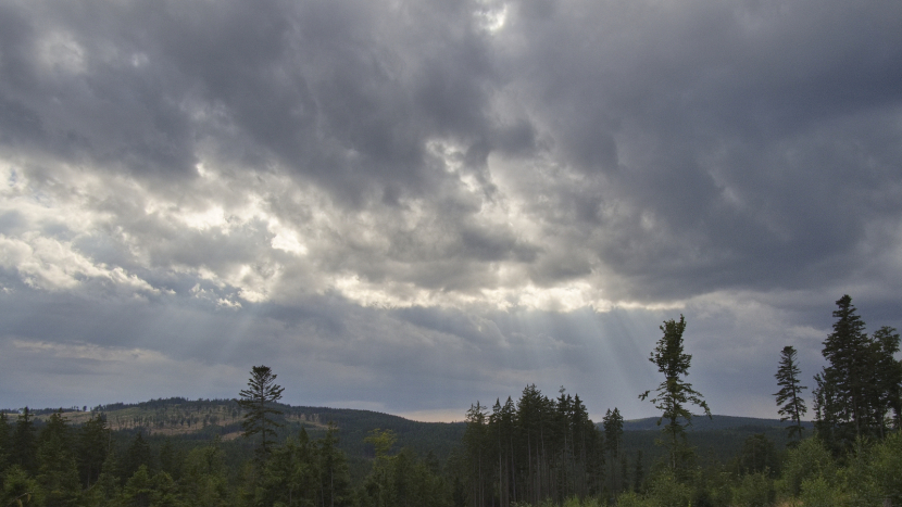 Meteorologové: Tento týden bude deštivý, nejvyšší teploty budou většinou kolem 25 stupňů