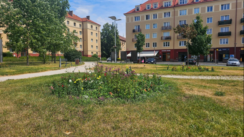 Výroční zpráva města Příbram: kam šly peníze v roce 2024 a co zásadního se chystá v roce 2025?