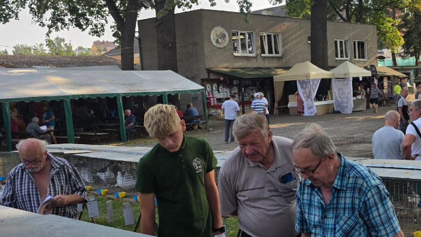Rožmitálští chovatelé uspěli na výstavě v Sedlčanech