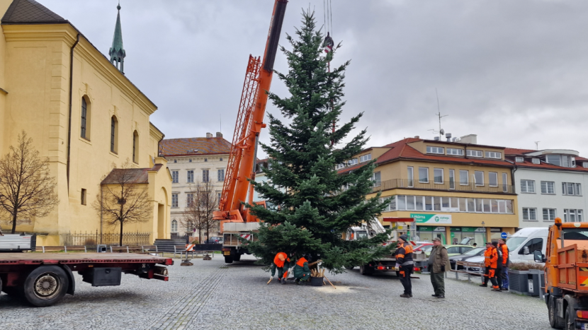 Příbram hledá vánoční strom. Město vyzývá občany ke spolupráci
