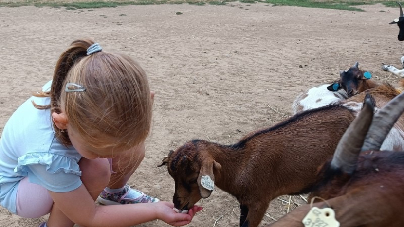 Tip na výlet: Zoopark Zelčín: ráj pro rodiny s dětmi