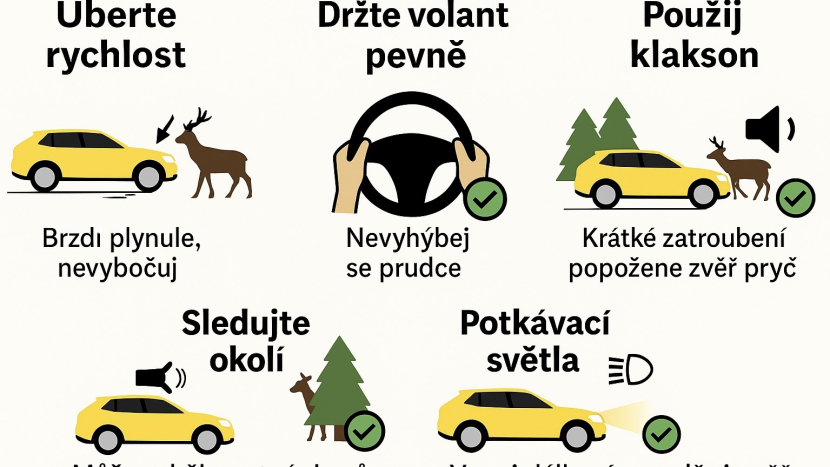 Pozor na zvěř: říjen přináší zvýšené nebezpečí na silnicích
