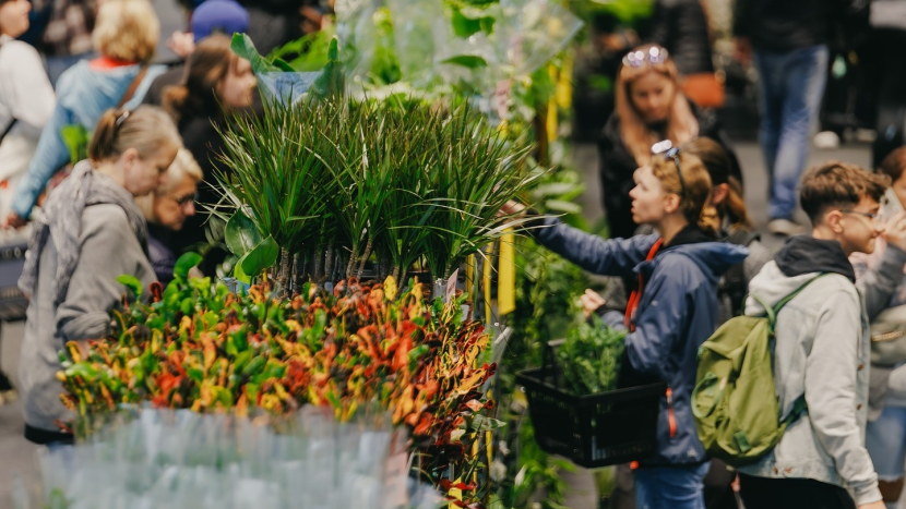 Tipy na víkend: Běh města Příbrami, farmářské trhy s podzimní dílničkou nebo první Festival rostlin