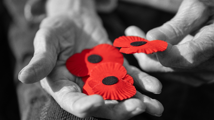 Sbírka, která zachraňuje paměť: Podpořte válečné veterány