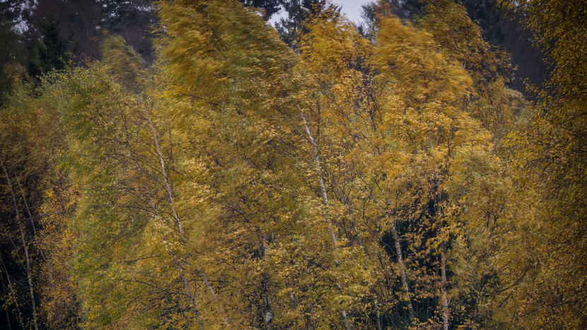 Letošní říjen byl druhý nejstudenější za posledních deset let