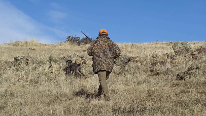 Na lov vyrážejí spolu s myslivci i policisté