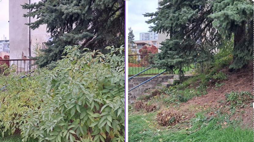 Nálety mizí. Příbram si čistí výhled