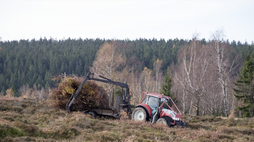 Houpák zarůstá a stín nesvědčí vřesům