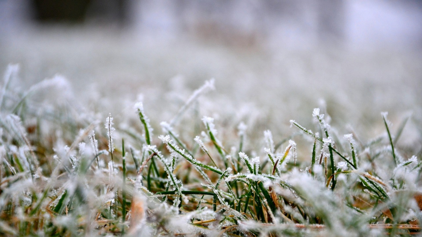 Do Česka dorazily první výrazné projevy zimy: studená fronta přinesla sníh, mráz i náledí
