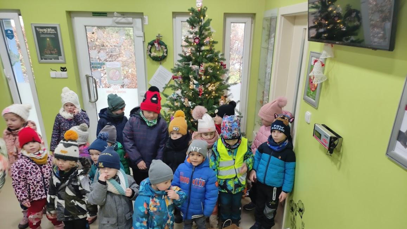 Hurá akce pro chrty: Dobré skutky v MŠ Školní pokračují