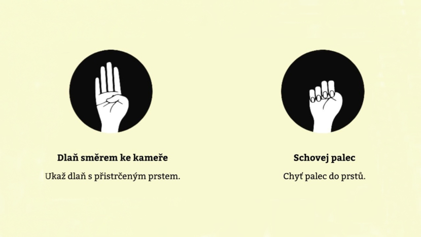 Mezinárodní den boje proti násilí na ženách