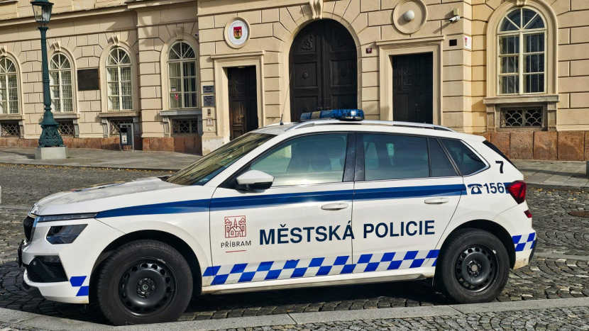 Strážníci v Příbrami našli pohřešovaného chlapce s autismem