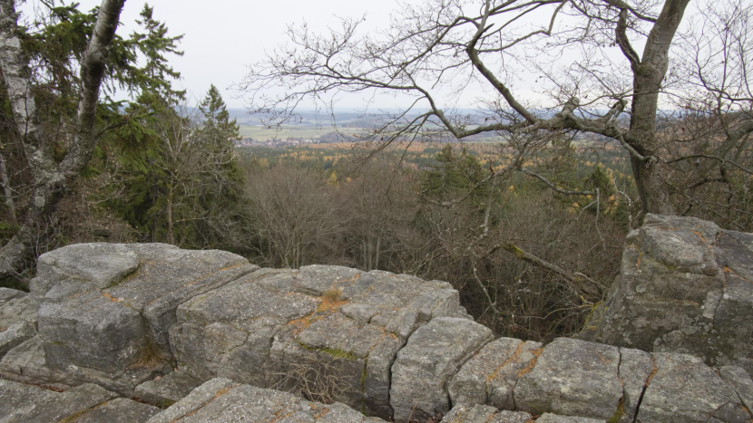 Na Kloboučku můžeme obdivovat staré a mohutné stromy