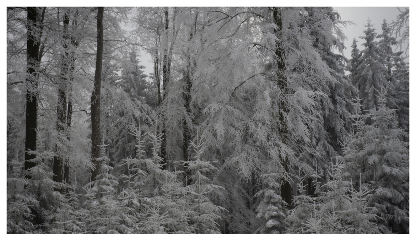 Zimní počasí se odkládá. Teplé jihozápadní proudění nepoleví
