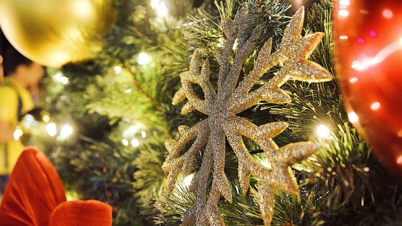 Štědrý večer: české vánoční pověry a tradice, které dodávají kouzlo Vánocům