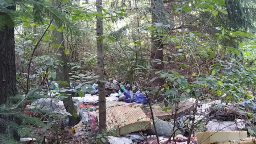 Černé skládky v Příbrami: proč město platí navíc, když máme sběrný dvůr zdarma