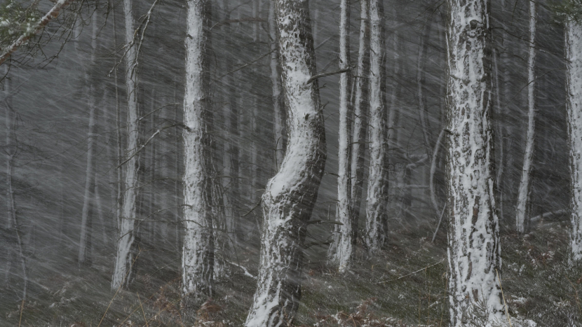 Sníh do Vánoc? Meteorologové krotí očekávání