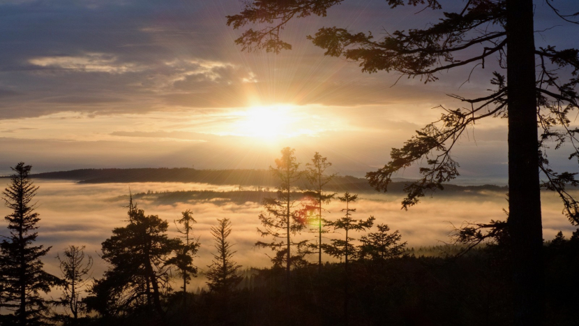 Zimní slunovrat 2025: Nejdelší noc roku nastane 21. prosince v 16:02