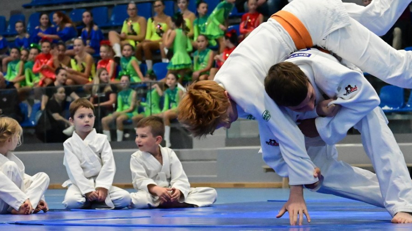 Středočeský kraj podpoří sportovní centra mládeže částkou přesahující čtyřicet milionů korun