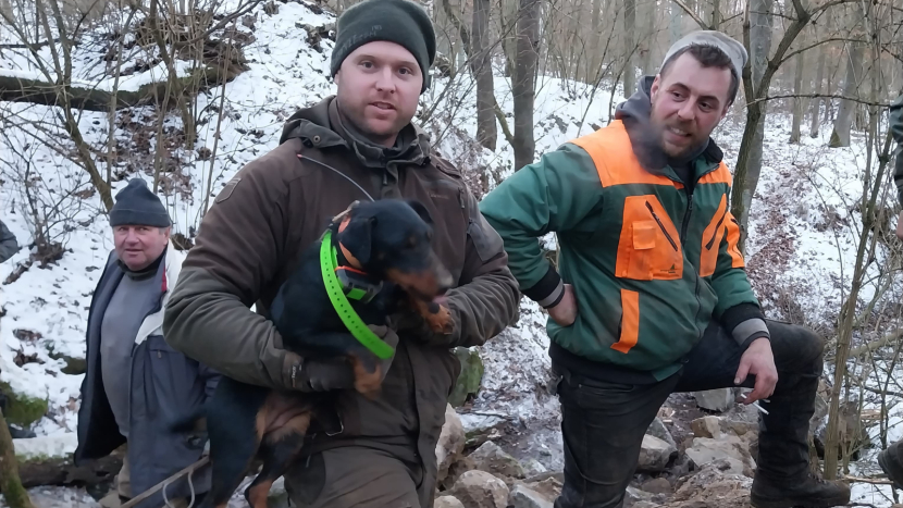 Hasiči čtyři a půl hodiny zachraňovali uvězněného psa mezi kameny v lomu ve Vrančicích