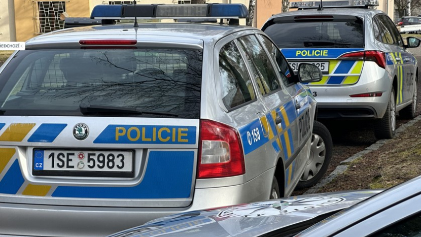 Policie prověřuje nález mrtvého novorozeněte v Martinicích