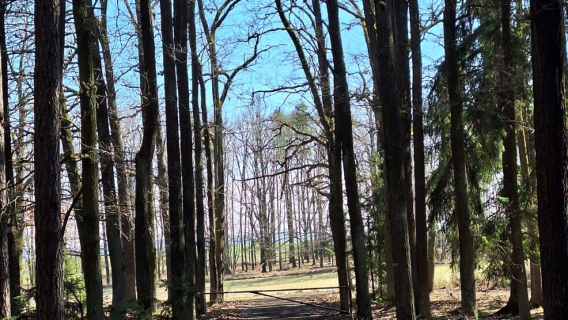 Pokračováním kamenných zastavení křížové cesty bude sochařské dílo Smíření a odpuštění