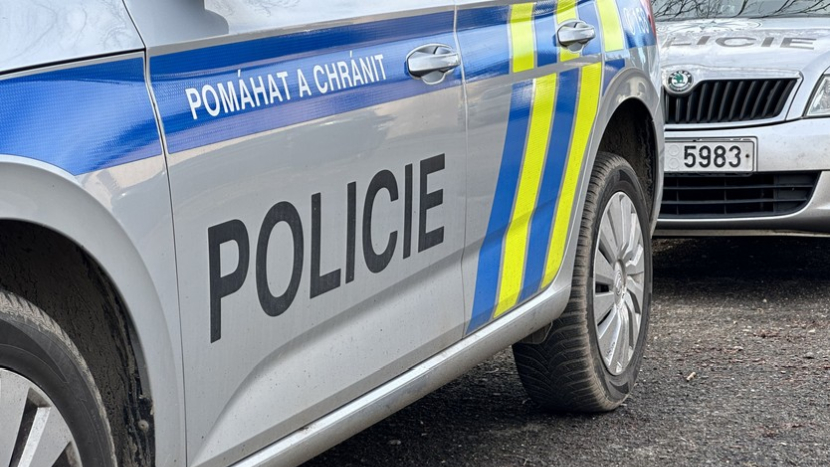 Na ženu, která měla pobodat muže, byla uvalena vazba