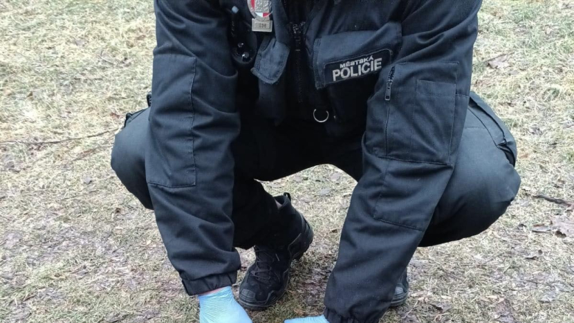 V Příbrami byly nalezeny použité injekční stříkačky. Strážníci je zajistili k odborné likvidaci