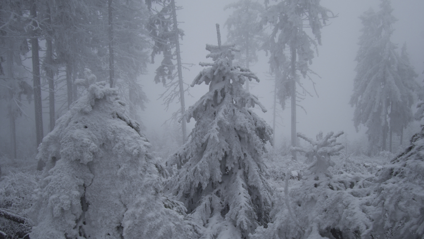 Silná námraza v Brdech láme větve. Vojenské lesy varují před vstupem do hřebenových partií