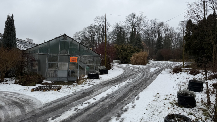 Prostor po zahradnictví se uvolní. Město chce parkoviště a možná i vrátka pro školáky