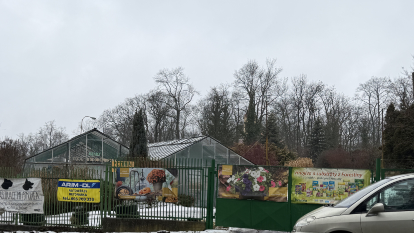 Petunia mluví o vůli pokračovat. A co fakta z dokumentů města?