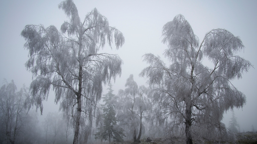 Turistický boom ve Středních Čechách: Brdy a Příbram lákají stále víc návštěvníků