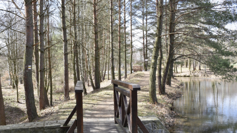 Příbram opravila čtyři rybníky za 20 milionů. Teď se chystá na Černé jezírko