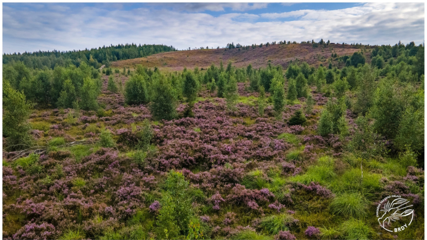 Další šance pro Brdy: Projekty na obnovu krajiny startují