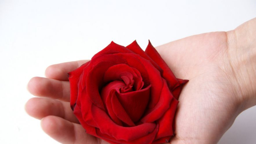 Oslavy MDŽ na Rožmitálsku: tradice, poděkování i společná setkání