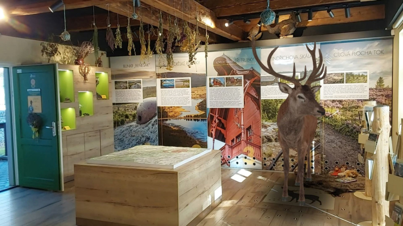 Výstava žáků v Obecnici pomůže k nákupu výtvarných pomůcek!