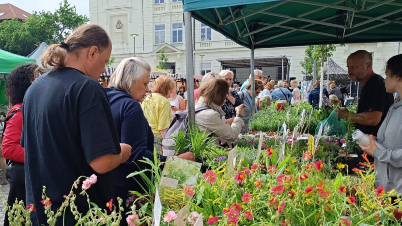 Oblíbené regionální trhy v Dobříši: přijďte ochutnat, nakoupit a pobavit se