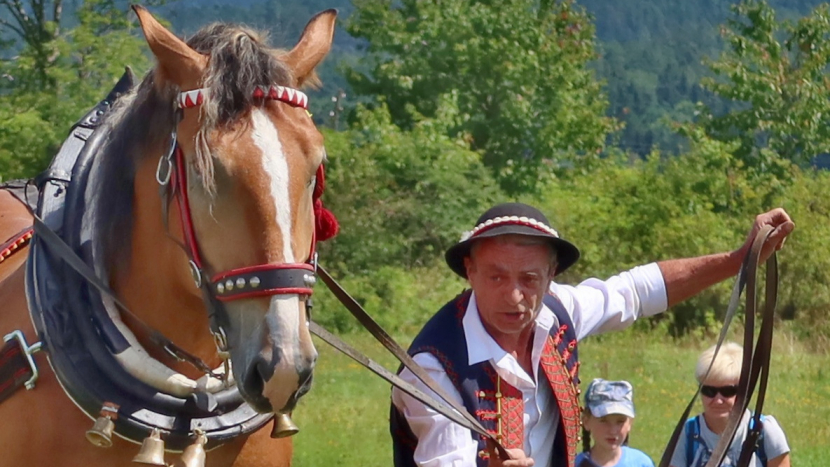 Brdská lesní bitva opět přiláká milovníky koní i lesnického řemesla