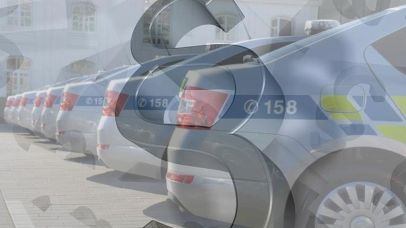 Otřesný nález na okraji Vranovic: manželský pár tam v domku provozoval ilegální množírnu