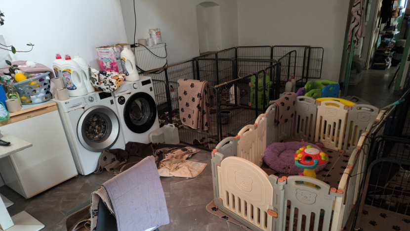 Policie obvinila manžele, kteří měli ve Vranovicích množírnu psů