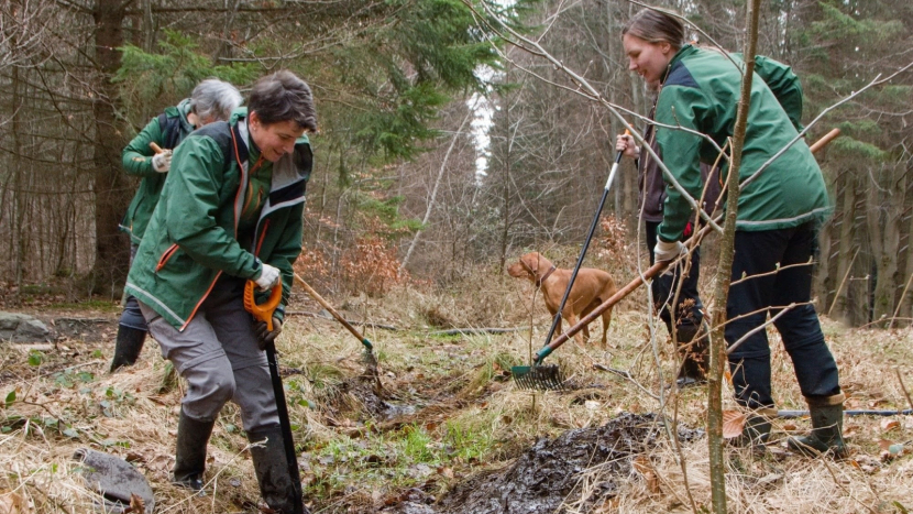 Ochranáři vylepšily v CHKO Brdy „porodnici“ pro mloky