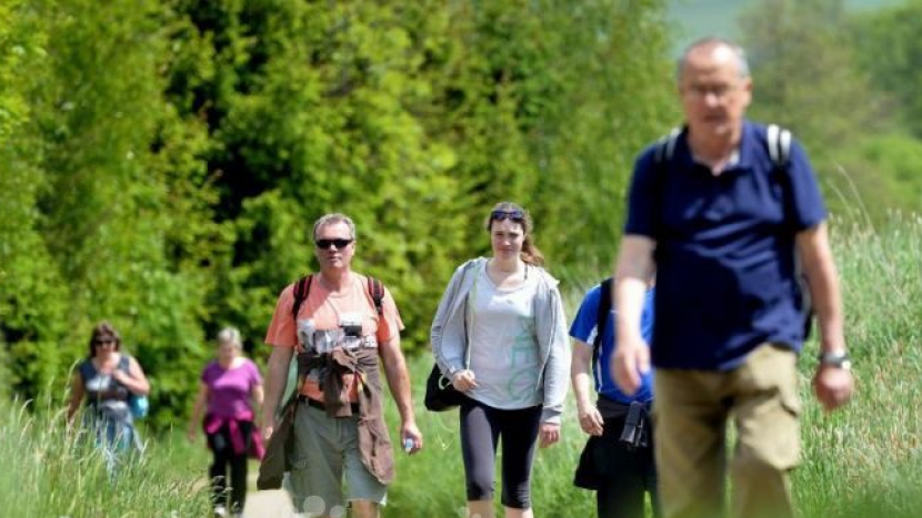 Legendární pochod Praha–Prčice slaví 60 let a láká další tisíce poutníků