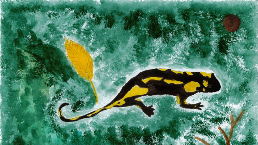 Brdy očima dětí: CHKO vyhlásila velkou výtvarnou soutěž k desátému výročí