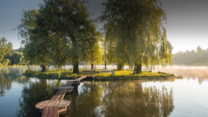 Čtyři klíšťata po jedné procházce. U Nového rybníku v Příbrami jich podle lidí výrazně přibylo